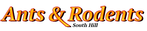 South Hill Ant Exterminator & Rodent Control Company Logo